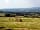 Nettwood Country Breaks: View from the site