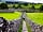 Grassington Campsite