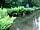 Yomer Wood Camping: Paddling and tadpoling in pond welcome