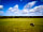 Fairview Farm (foto toegevoegd door manager op 4-8-2020)