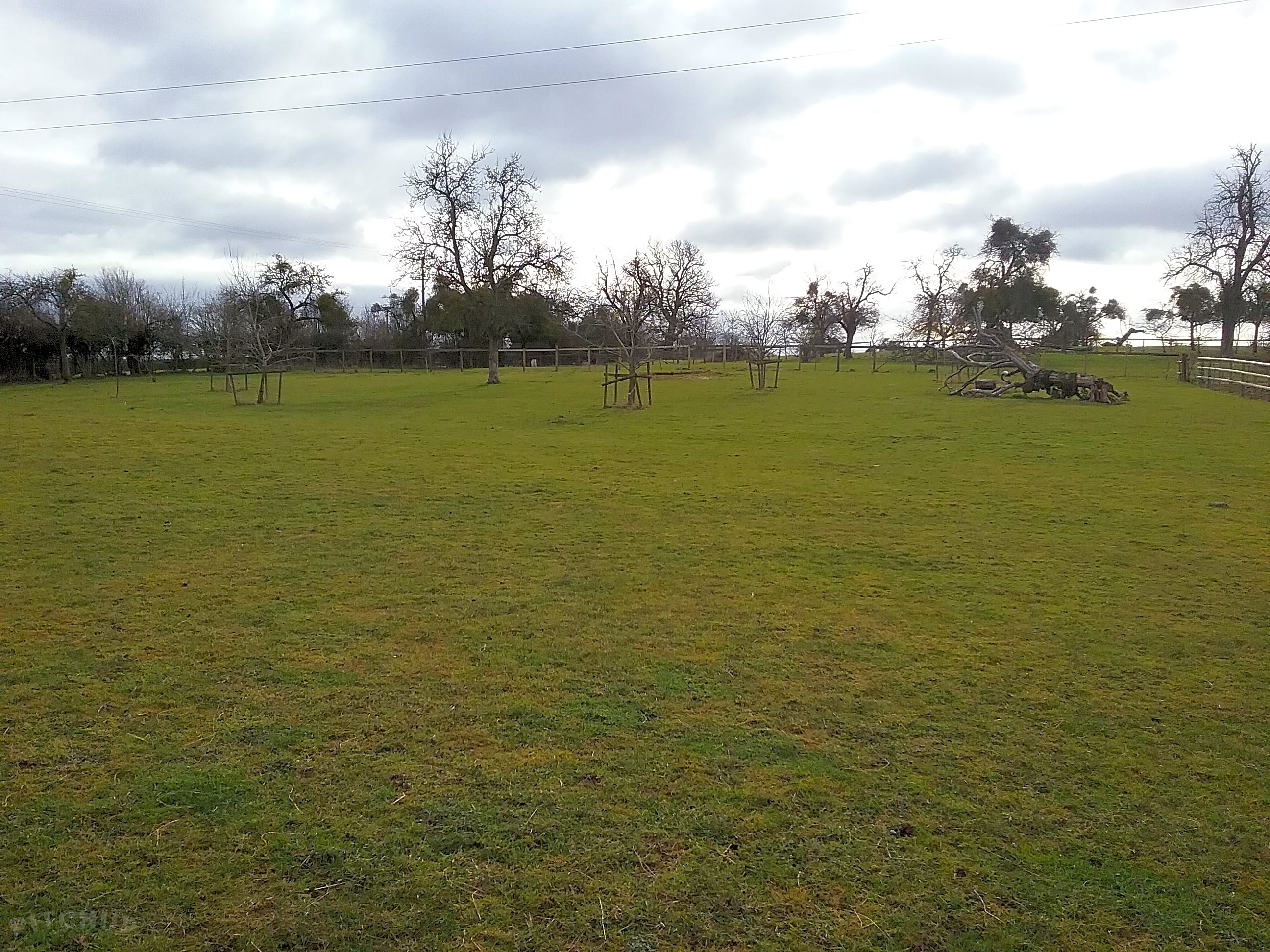 New Farm, Hereford Updated 2021 prices Pitchup®