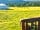 Great Glen Yurts