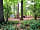 Nightingales Rustic Camping