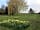 Rectory Farm