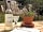 The Hen's Dens at Orchard Organic Farm: Space to relax outside