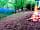 Warbleton Farms Campsite: Campfire area in the woods