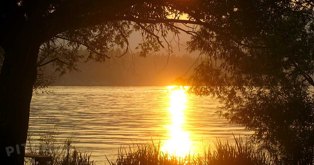 Willow Bay RV Resort and Marina, Nine Mile Falls