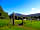 Tyn Yr Onnen Farm (фото добавлено  03.09.2014)