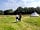 Benville Manor Camping: log delivery (photo added by manager on 31/07/2022)