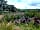 Milkmaid Meadow Campsite: Insect hotel