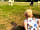 Walnut Tree Meadow Camping: Visit to the alpacas next door. (photo added by  on 08/15/2020)