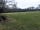 The Barley Mow Inn