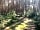 Holmans Woods