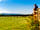 Ockeridge Rural Retreats: Hillside View (photo added by manager on 28/07/2019)