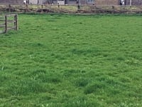 Op gras staplaats voor een tent zonder elektriciteit