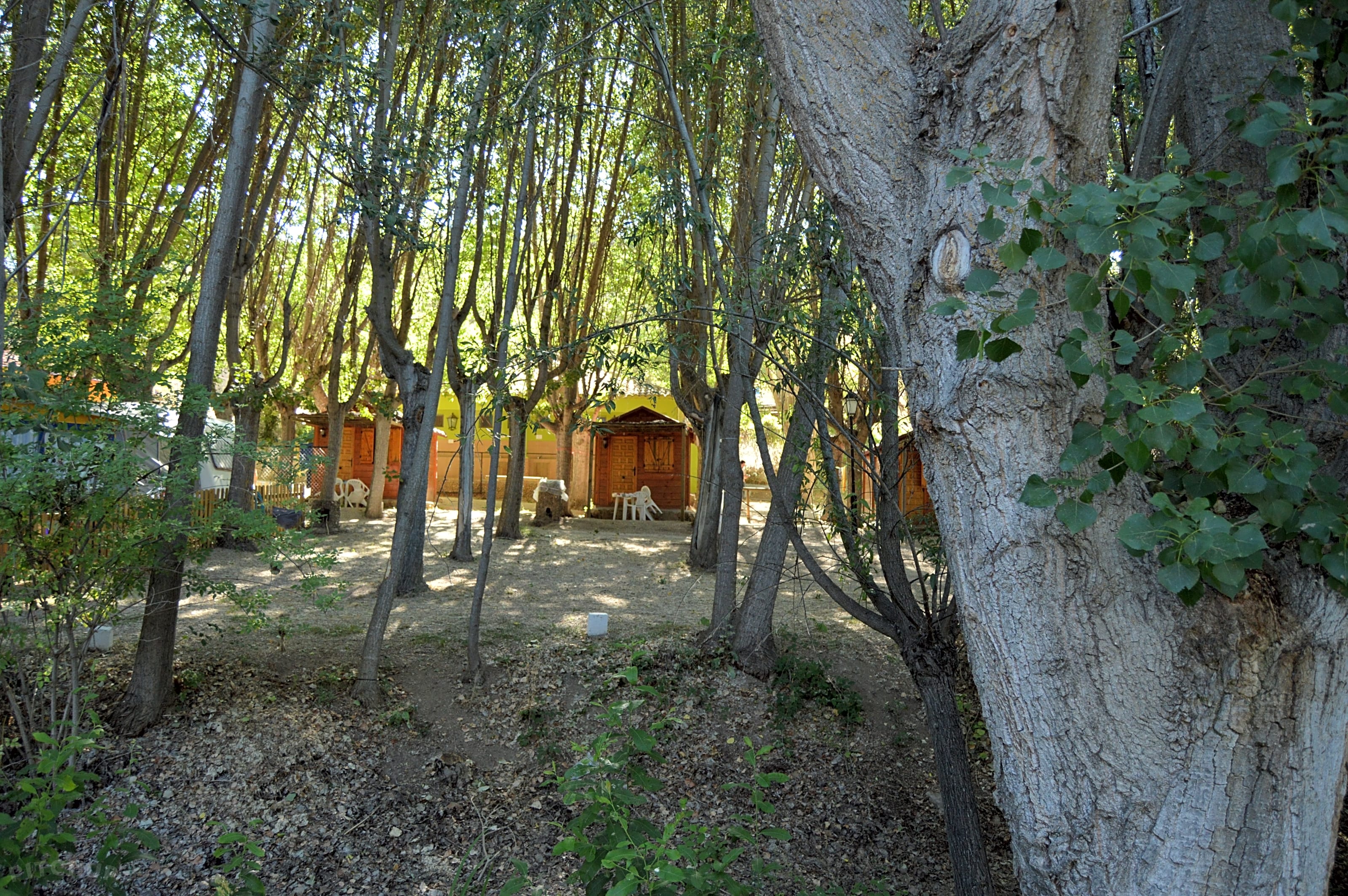 Camping Sierra Peñascosa, Peñascosa Pitchup®