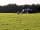 Porte Meadow Campsite: Plenty of pitch space