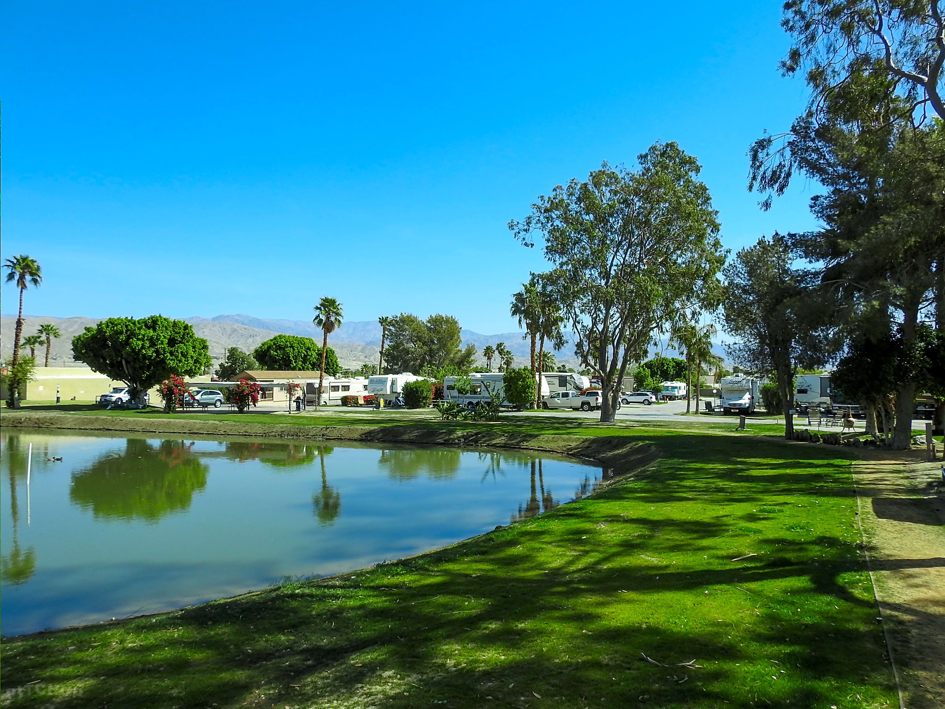 Shadow Hills RV Resort, Indio Pitchup®