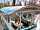 Kingfisher Meadow Camping and Caravanning Park