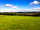 Treetops Farm Holidays: Green surrounds