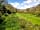 Allerbrook Meadows: View of the site