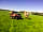 Girt Down Farm: Tractor out and about on site