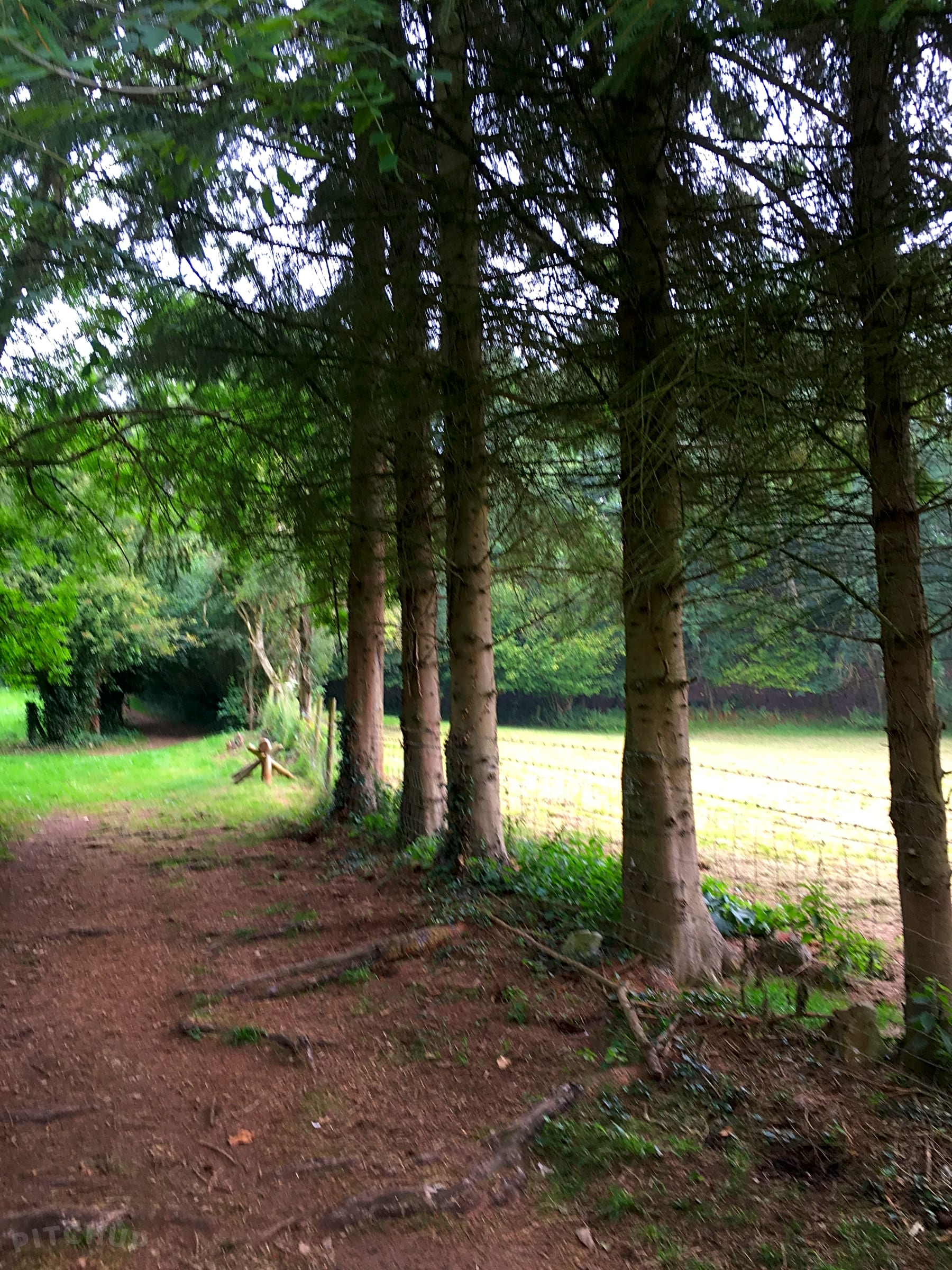 Owley Woods Popup Campsite, Cheddar Pitchup®