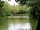 Wassell Grove Camping and Caravanning: Trees around the match pool