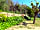 Camping Victoria: Camping field