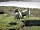 Inn at the Bush: Nearby neighbours (photo added by manager on 07/16/2019)