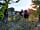 Offa's Dyke Farm Campsite