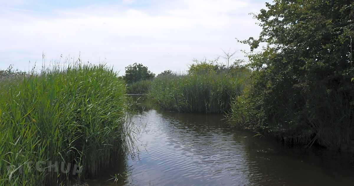 Berney Arms Camping, Great Yarmouth