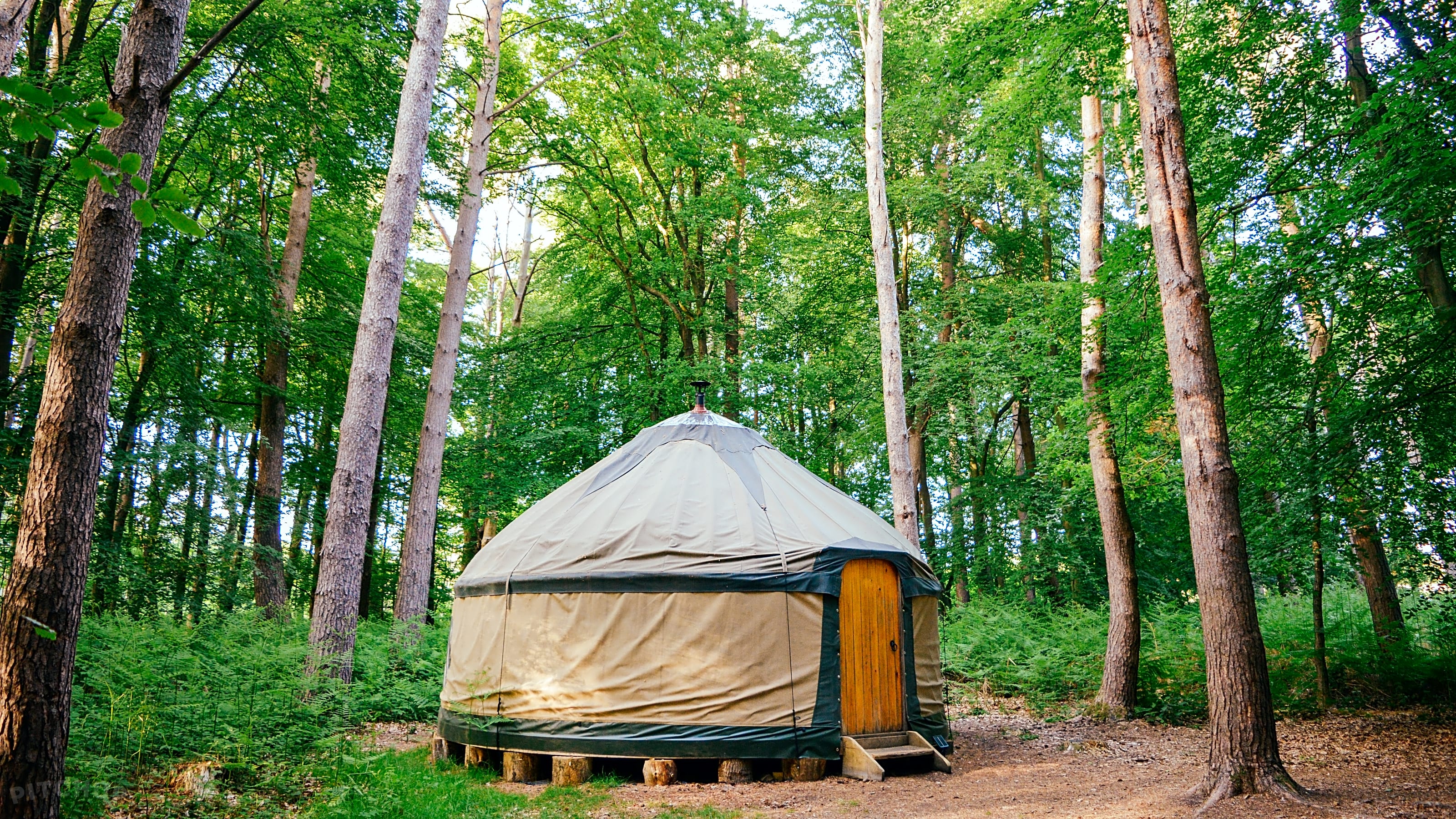 Adhurst yurts shop