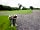 Pitch and Canvas