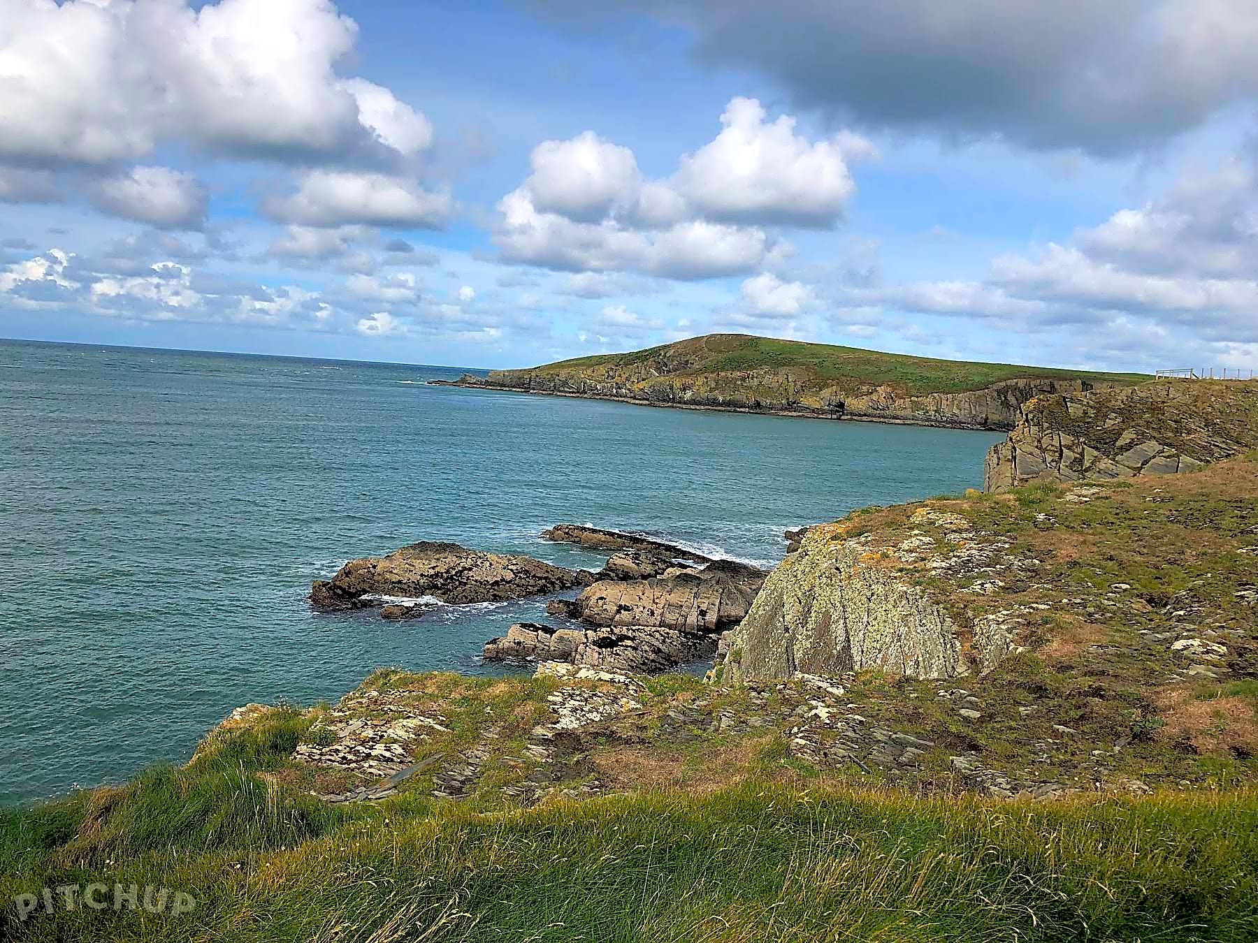 Cardigan Island Coastal Farm Park, Cardigan Updated 2020 prices