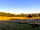Belvedere Alpaca Ranch