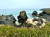 Porthcothan Clifftop Camping (foto adicionada em 28/06/2024)