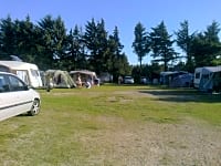 Lote de grama com eletricidade opcional
