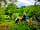 Bush Farm Wild Camping