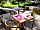 Camping Hautoreille: Eat on the restaurant's terrace