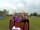 American School Bus Glamping at Petruth Paddocks: Trailer rides at the campsite