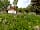 Twitey's Tipis and Campsite: The yurt as spring turns into summer