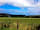 Mullacott Farm: Camping field