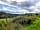 Beltonville Farm: Views from the pitch
