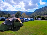 Parcel·la de gespa sense electricitat per a tenda de campanya