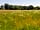 Bury Hill Farm: Adjoining meadow (photo added by manager on 22/07/2021)