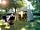 Camping La Nizière: Space to relax on the pitches