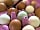 Rosebud Ranch: Free-range eggs