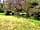 Allerbrook Meadows: One of the pitches.