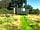 South Town Farm: The Hut